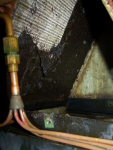 Dangerously-dirty-evaporator-coil